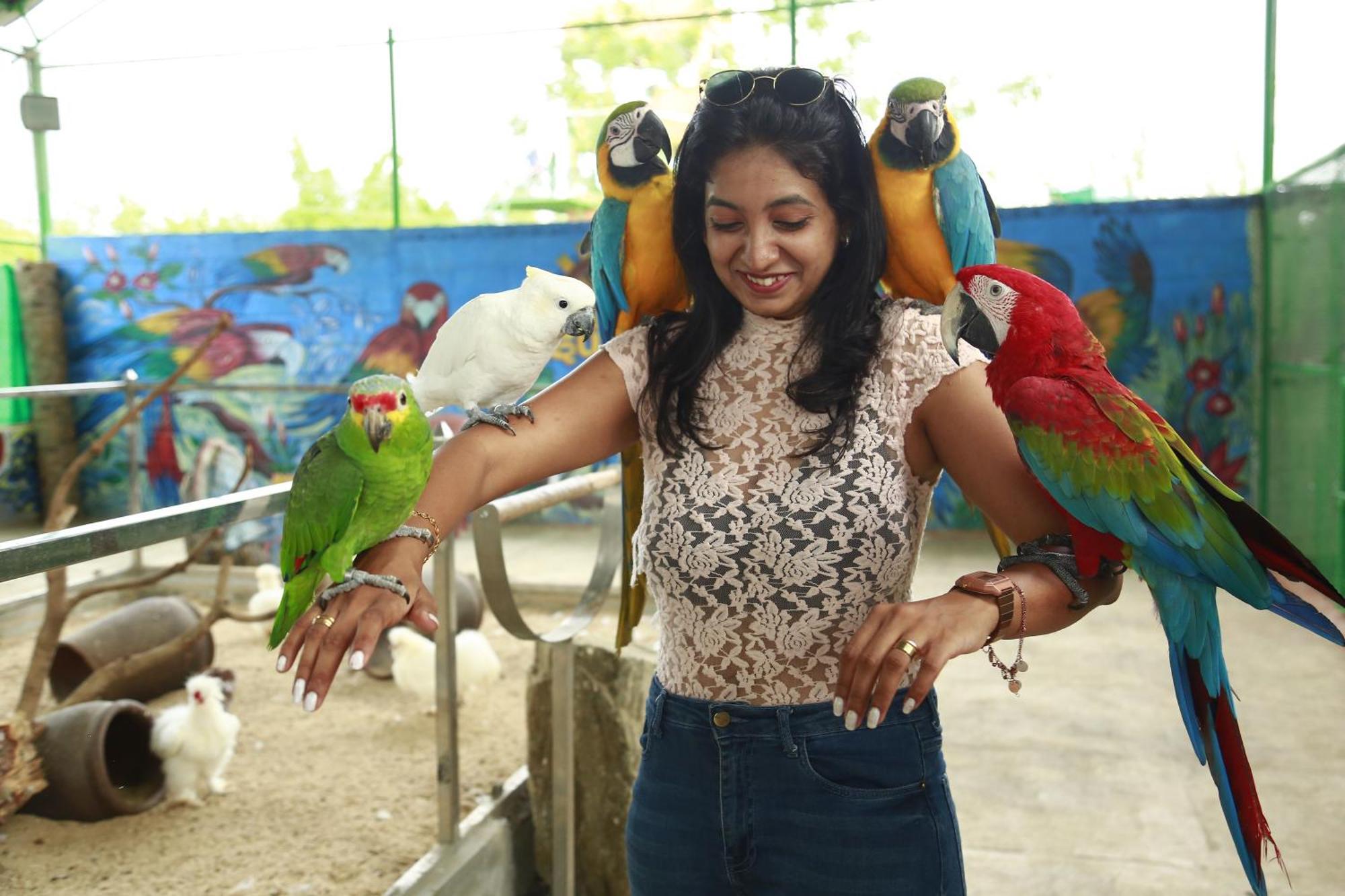 Suggee Resort Jigani Luaran gambar